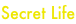 shapeimage_2_link_18
